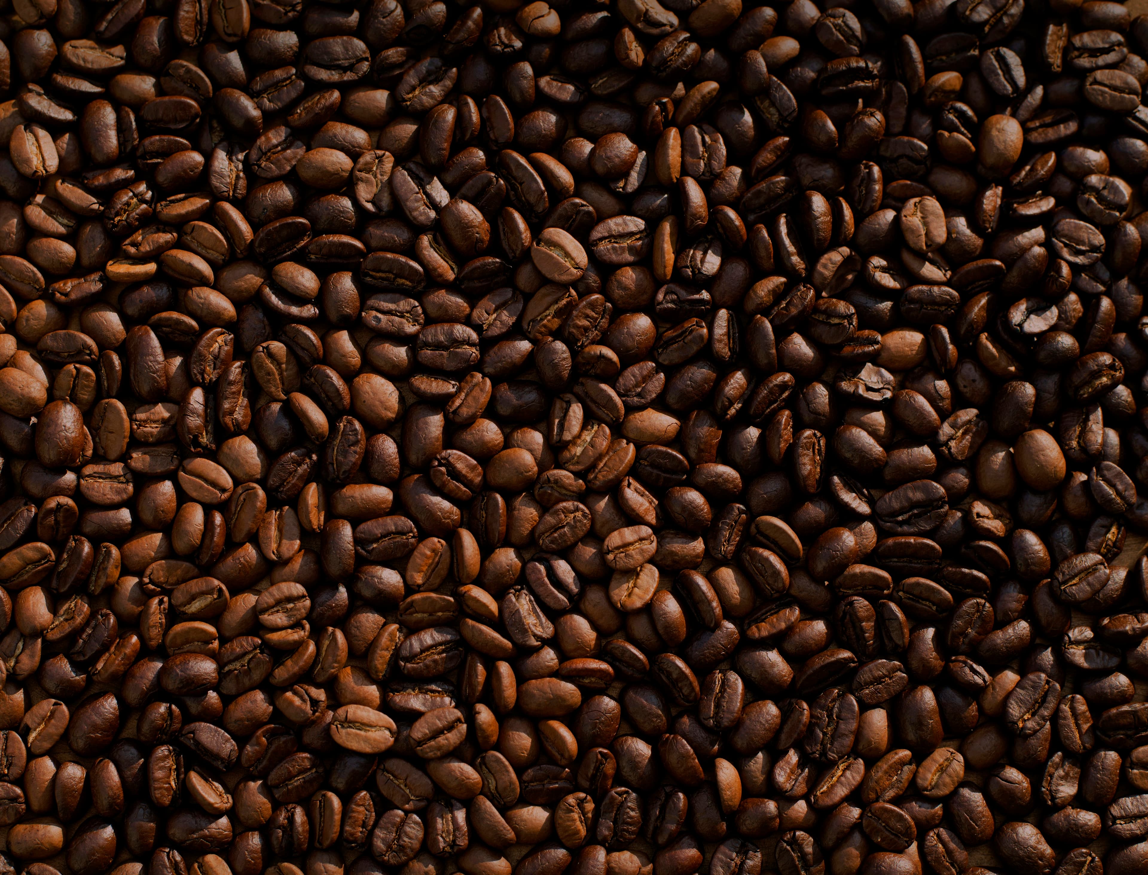 Coffee beans and brewing tools